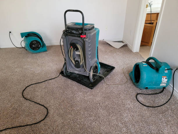 Carpet water damage restoration in Santa Fe, NM