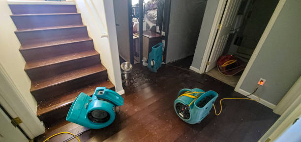 Best Water damage cleanup near me  in Santa Fe, NM