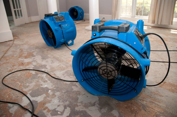 Best Basement water damage restoration  in Santa Fe, NM