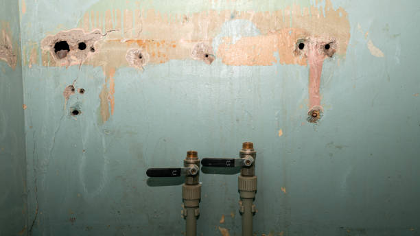 Best Commercial water damage restoration  in Santa Fe, NM