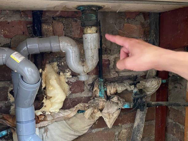 Best Water damage contractors near me  in Santa Fe, NM